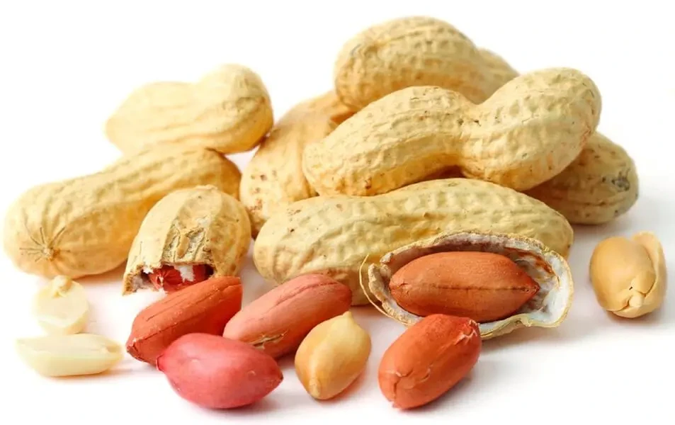 Best groundnut seed manufactures