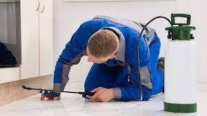 How to Start a Pest Control Service Business in Kerala