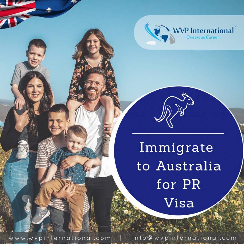 WVP International  Immigration Consulting Service